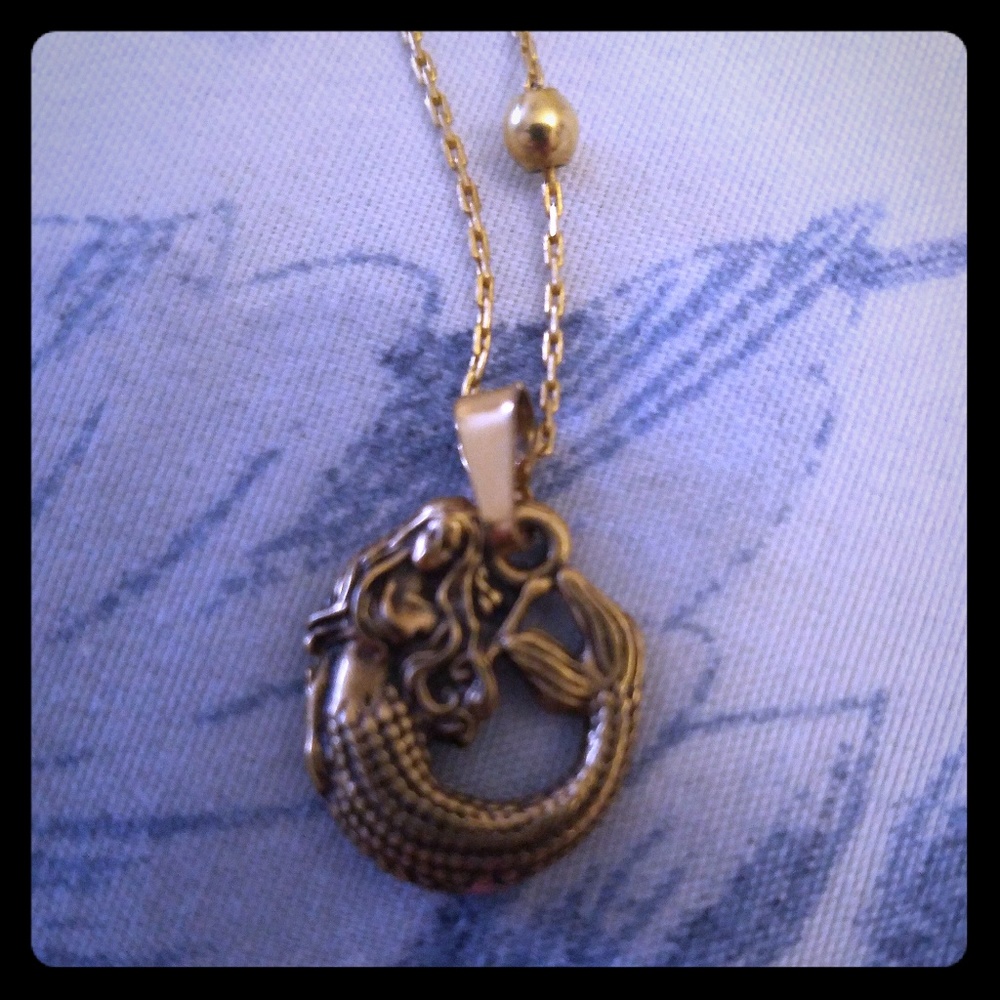 ALEX and ANI